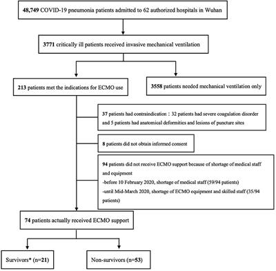 Retrospective Study of Critically Ill COVID-19 Patients With and Without Extracorporeal Membrane Oxygenation Support in Wuhan, China